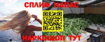 тгк Будённовск