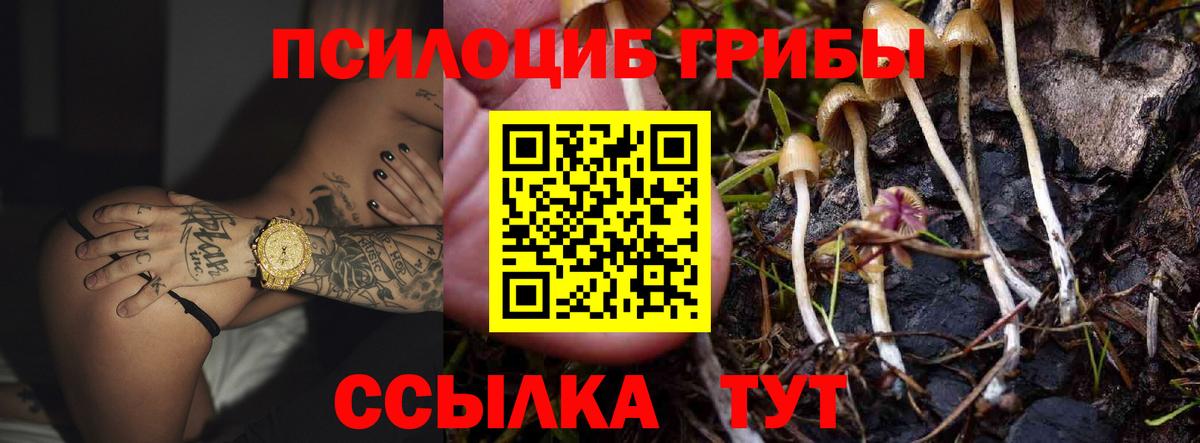 Галлюциногенные грибы Psilocybine cubensis  Псилоцибиновые грибы GOLDEN TEACHER  Вход с VPN  Тобольск 